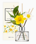 Diffusore Cocodor Daffodil da 200 ml (6,7 oz) Vaniglia e Legno di Sandalo